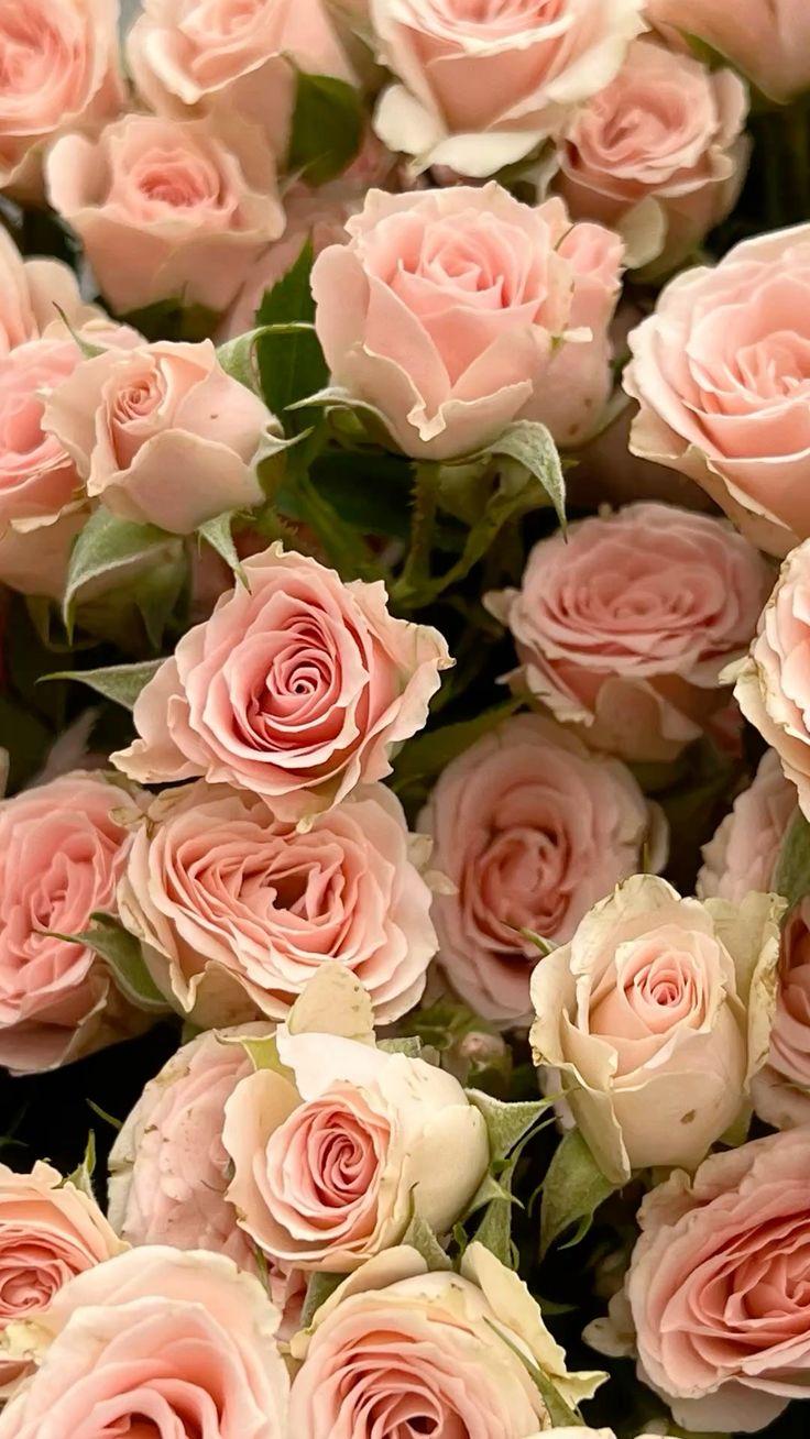 CalmCopperRock workshop space where corporate flower arrangements are designed and prepared for business delivery